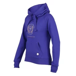 Shires Aubrion Team Hoodie (Blue)