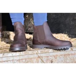 Tuffa Clydesdale Jodhpur Boots (Eur 36 - Eur 42) -Sports - Equestrian Riding 74d5e clydesdale boots brown hannah31500 pad 1000x1000