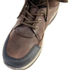 Shires Moretta Eleonora Lace Front Boots (Brown) -Sports - Equestrian Riding 77d3f 9189 brown 2918 pad 1000x1000