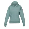 Shires Aubrion Team Hoodie (Sage)