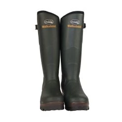 Rockfish Walkabout Wellington