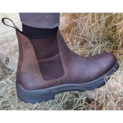 Mark Todd Kiwi Short Boots